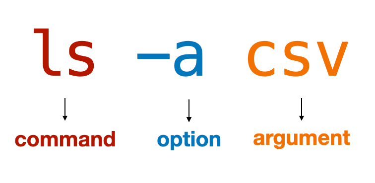 Terminal syntax 