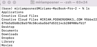 Terminal screenshot showing directory contents